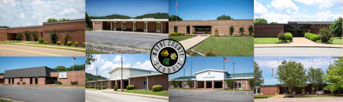 Wayne County School District